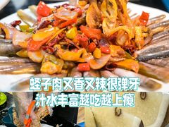 -亚龙湾热带天堂森林公园