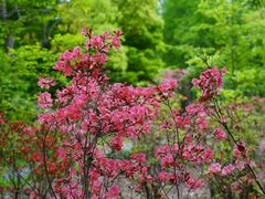 -上海滨江森林公园