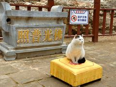 -四门塔风景区