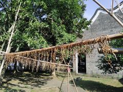 -中华贤母园-陶渊明纪念馆