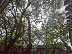 -北京鲁迅博物馆(北京新文化运动纪念馆鲁博馆区)