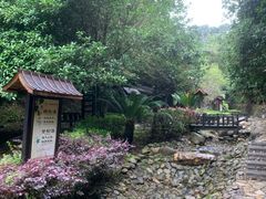 -明月山天沐温泉度假村