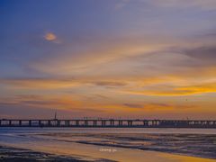 -宝安西湾红树林湿地公园