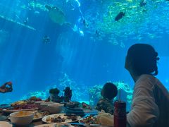 -海棠湾洲际-涛·海底餐厅·美人鱼·自助餐·海底隧道