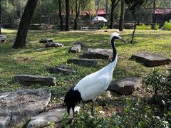 -秦皇岛野生动物园