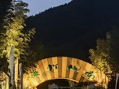 -紫藤园·天目湖大鱼头(南山竹海店)