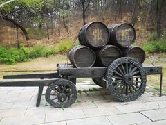 -北京张裕爱斐堡酒庄