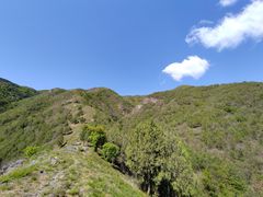-北京鹫峰国家森林公园