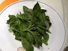 爽口非洲冰草-宝燕壹号(徐汇店)