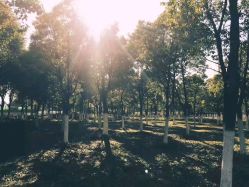 点击看大图 -美年亲子儿童摄影(合肥市滨湖新区金泉小区店)