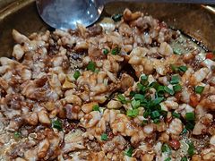 -港升鱼师傅·中山脆肉鲩