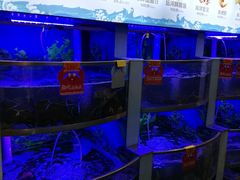 -七欣天香辣蟹火锅(上海银亿滨江店)
