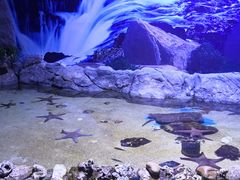 -多彩贵州城极地海洋世界