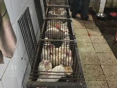 -温江公平红烧兔(总店)