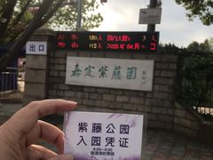 -嘉定紫藤园