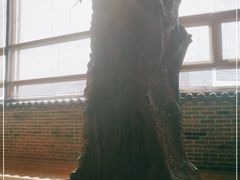 -汤森悠生活文化汤(江宁万达店)