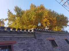 -北京国子监胡同