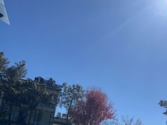 -云禾壹海景庄园餐厅