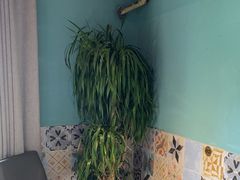 -伊斯麦尔丝路·新派菜(沙子口店)
