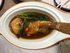 肆月河豚-肆月河豚·新淮扬(金融街店)