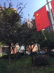 -重庆医科大学附属儿童医院(两江院区)