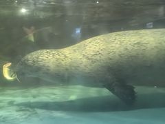 -常州海昌海洋探索馆