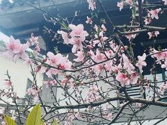 -十里琅珰