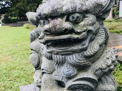 -瑞穗牧场