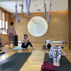 -花间禅净·瑜伽