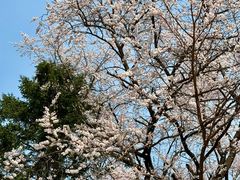 -吉林大学(南岭校区)