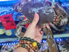 -金海湾海鲜排档(朱家尖店)