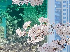 -龙美术馆(西岸馆)