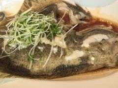 -顺峰(农展馆店)