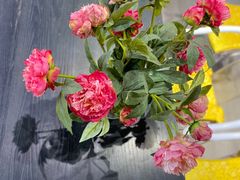 -宫事颐庭·老佛爷贵寿下午茶(颐和园店)