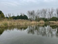-溱湖国家湿地公园