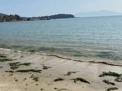 -西澳岛