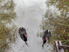 -长兴太湖图影湿地文化园