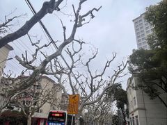 -兰溪青年公园