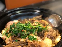 鹿茸菌生焗河田鸡-闽和南(深圳万象城店)