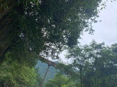 -雅鲁激流探险漂流