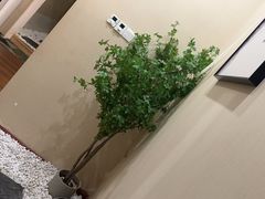 -养心阁足道馆(火宫殿一店)