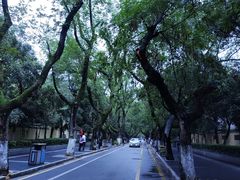 -颐和路民国时期公馆风貌区