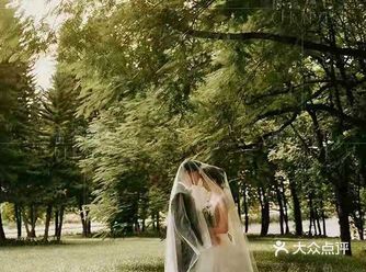 我才能停止爱你。都说流星有求必应