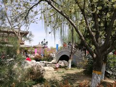 -西安青龙寺遗址景区