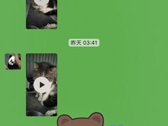 -芭比堂动物医院·24小时·眼科中心(深圳中心)