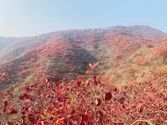 -水峪民俗村