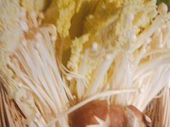 -同仁四季椰子鸡(罗湖国贸店)