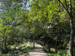 -北京密云天门山风景区