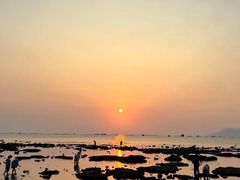 -沿江海南菜·文昌鸡祖师爷(大东海店)