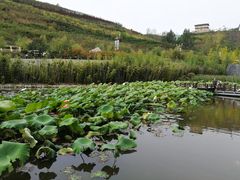 -白鹿原影视城